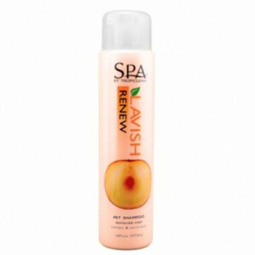 스파 스파 리뉴 샴푸 473ml