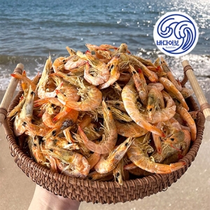 �ٴپ ���� �ǻ��� 1.5kg ��� �������� ���ϻ��� ��������