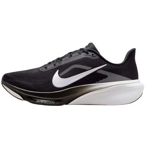 나이키 페가수스 42 IB1873-001 (병행)_이미지