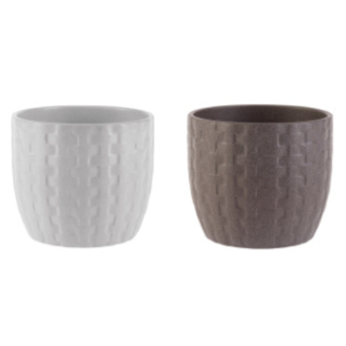 S.K ��Ű�糪 ����ó �� 15cm