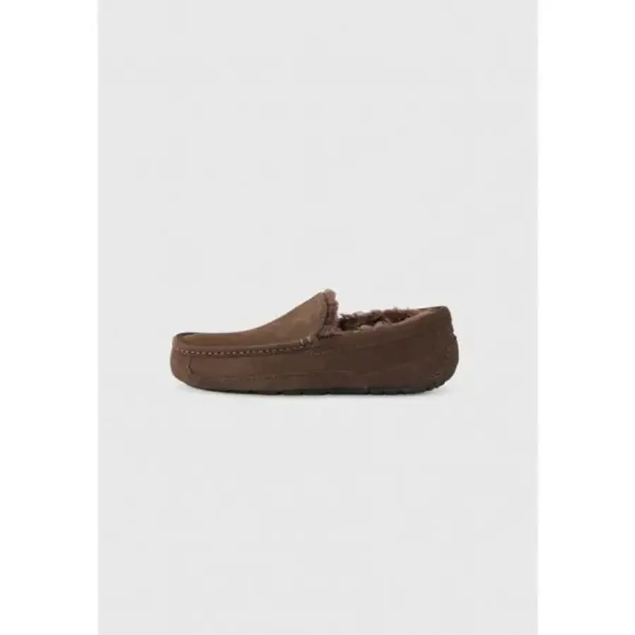 UGG ASCOT Slippers dusted cocoa 7492566