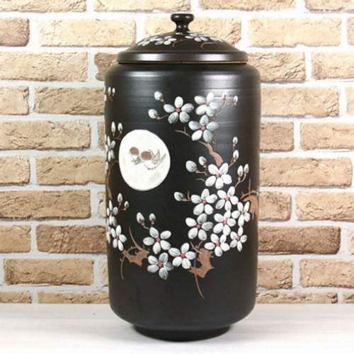 ������ ��û ���ȭ �ҵ� 20kg