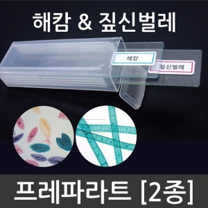 신성싸이언스 HM 해캄짚신벌레 프레파라트