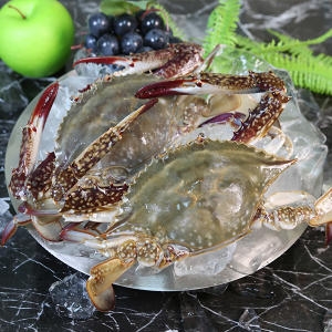 자연맛남 최상급 암꽃게 소 1kg (1개)_이미지