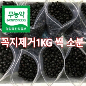 영농조합 햇아로니아 생과 5kg (1개)_이미지