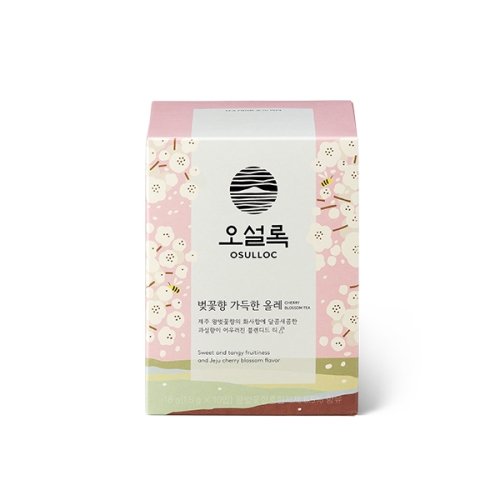 오설록 벚꽃향 가득한 올레