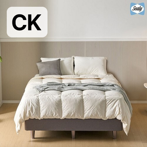 씰리 팀버 침대 CK (베루스)_이미지