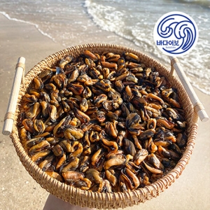 바다어보 국산 건홍합 500g 상급 마른홍합 말린홍합 건어물_이미지