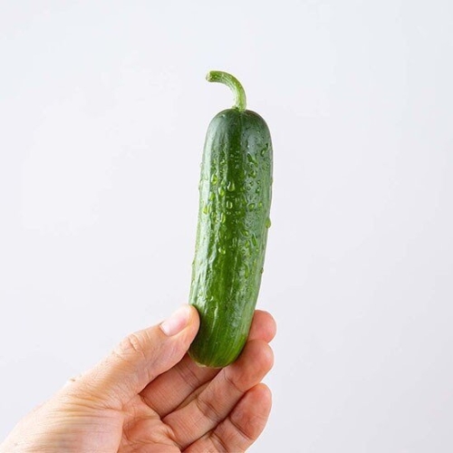 자연맛남 맛있는 미니오이 4kg이미지입니다. 누르면 해당 게시물로 새창이동합니다.