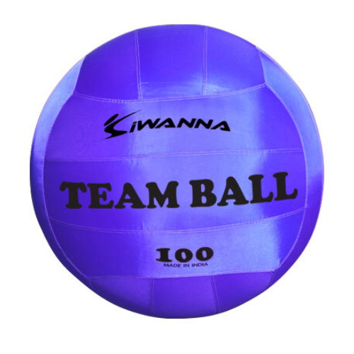 코리아스포츠 아이워너 아이워너 팀볼 100cm 블루_이미지