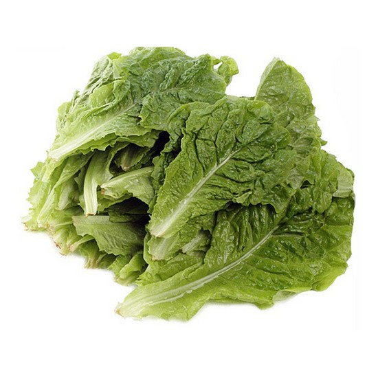 우리가락 청상추 4kg (1개)_이미지