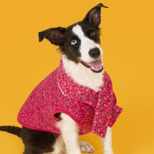 BYC 개리야스 에어메리 목도리_이미지