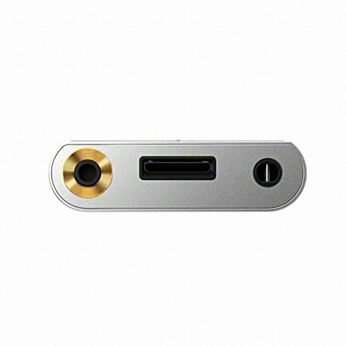 SONY Walkman NW-ZX100 128GB (해외구매)_이미지