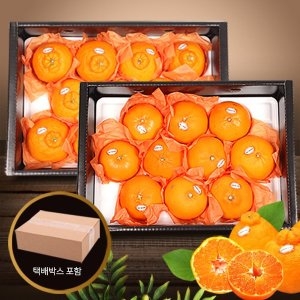 ���ٿ� �����ϴ����ְ��������� �Ѷ��+õ����ȥ�� ��3kg�� 9-12��