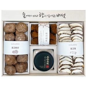 영진표고 차가담은 표고혼합세트 310g이미지입니다. 누르면 해당 게시물로 새창이동합니다.