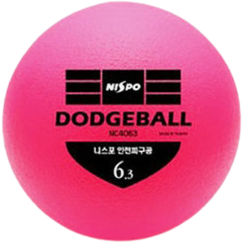 �Ͻ��� 6.3��ġ �Ǳ��� NC4063 �׿·���