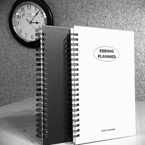 [불명] 에빙플랜드 스터디플래너 스프링 100DAYS