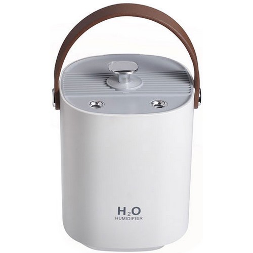 듀얼분무 가습기 (해외구매)