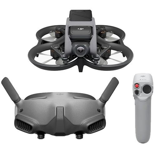 DJI 아바타 (프로 뷰 콤보)