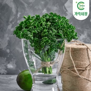 온도씨 가락시장 경매 파세리 파슬리 300g_이미지