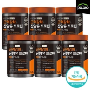 한국생활건강 팔레오 근력강화 산양유 프로틴 plus 마그네슘 245g (6개)