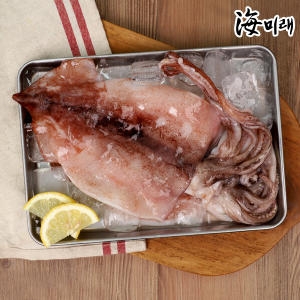해미래 국내산 손질 냉동 오징어 270g [5개]