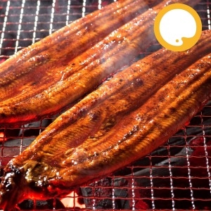 냉동 참 바다 장어 양념 구이 10미