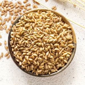 갑당약초 파로 엠머밀 1kg (3개)