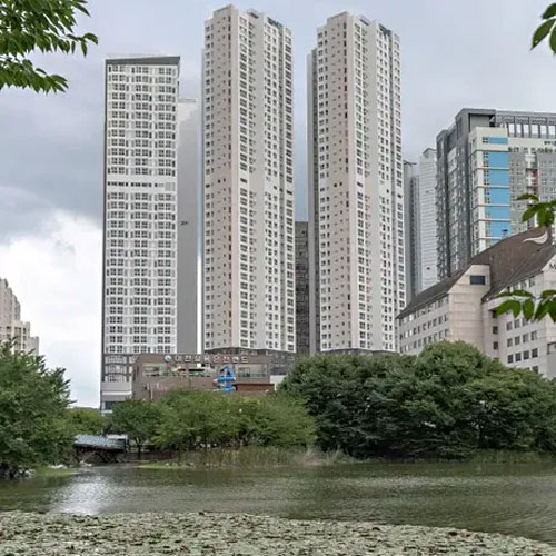 ����õ ����÷��� ȣ�� (���)