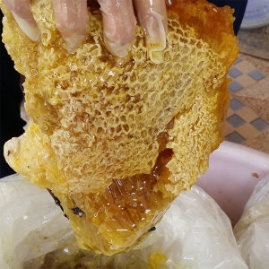[불명] 천연 야생목청꿀_이미지