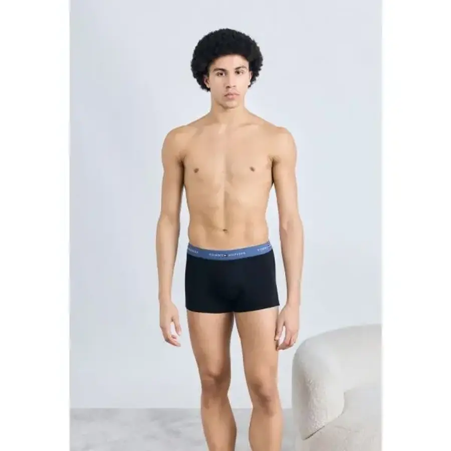 TOMMY Hilfiger 토미 힐피거 시그니처 트렁크 3팩 빨강/바다색/산딸기 주스 7524274