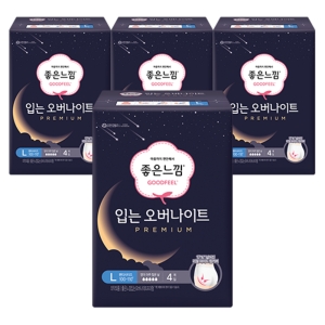 좋은느낌 입는 오버나이트 프리미엄 대형 4개 (4팩(16개))_이미지