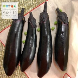 바르다야채 국내산 신선 가지 특 1kg / 국산가지 특