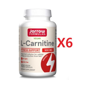 �ڷο����ķ��� L-ī����ƾ 500mg 100ĸ��