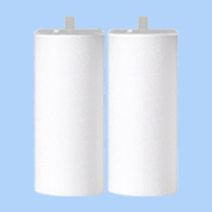 닥터피엘 주방 녹물제거 필터 (2개)_이미지