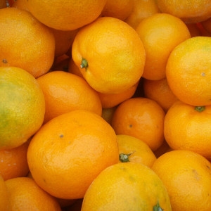 나영이네농장 맛좋은 감귤 중대과 10kg (1개)