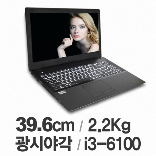 한성컴퓨터 H56 DGA6100 (1TB)