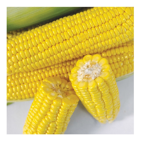 모모네 초당옥수수 (15개)