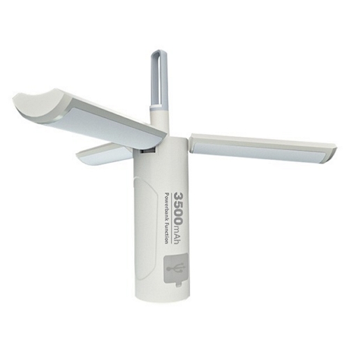 ķ�۽��Ķ���̽� ������ �ʰ��� ���ͱ� ķ�� ����