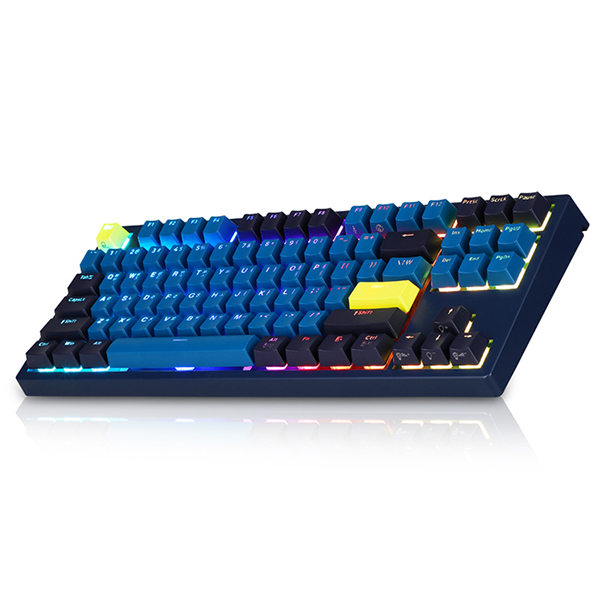 COX 엔데버 네이비 에디션 RGB TKL 무접점 (35g)
