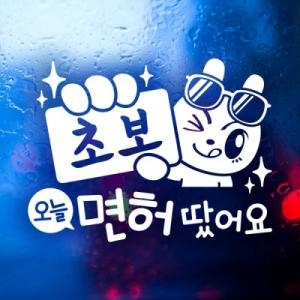 제제데코 초보 오늘 면허 땄어요 제이래빗
