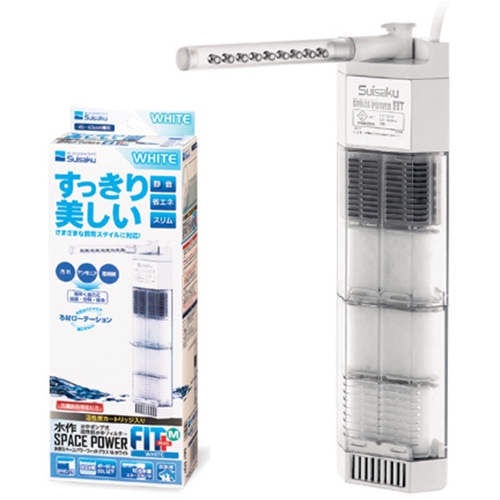 ���̻��� ���Ŀ���Ʈ �÷��� ȭ��Ʈ