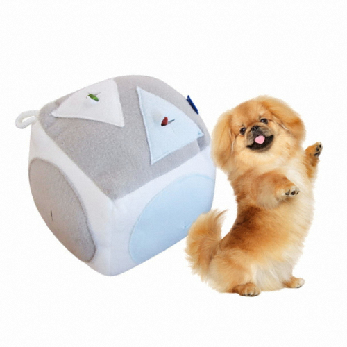 벨버드 시간순삭 노즈워크 큐브 (16x16cm)