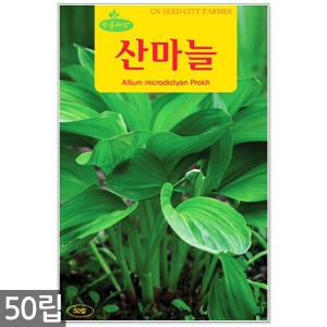 동산원  산마늘씨앗 산마늘 민속 명이나물 씨앗 채소씨앗