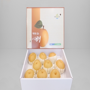 보섭이네푸드 나주배 프리미엄 선물세트 7.5kg (1개)_이미지