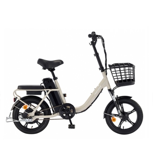 ��õ�������� ���� ����� PAS (2026����)