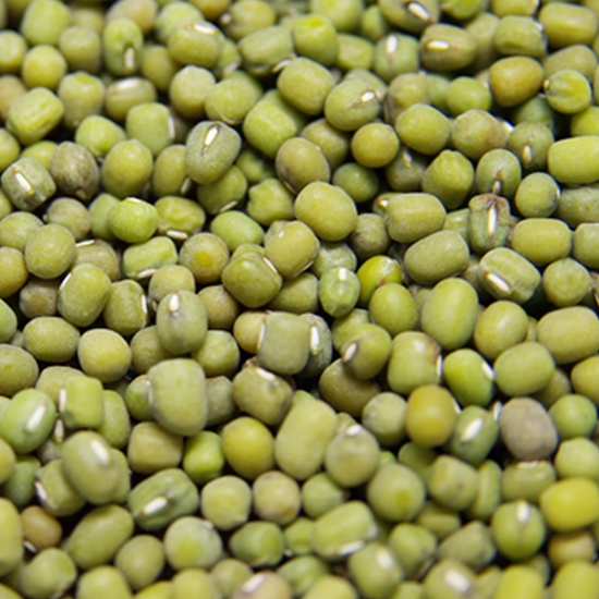 샘골마을 16년산 국내산 녹두 1kg (1개)_이미지