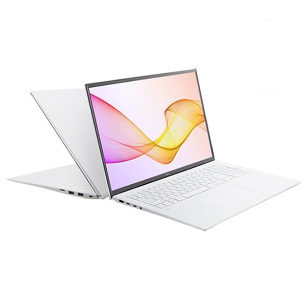 LG전자 2021 그램14 14ZD90P-GXFWK (SSD 250GB + SSD 256GB)_이미지
