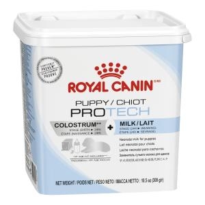 �ѱ����� �ξ�ĳ�� �� ���� ������ũ 300g