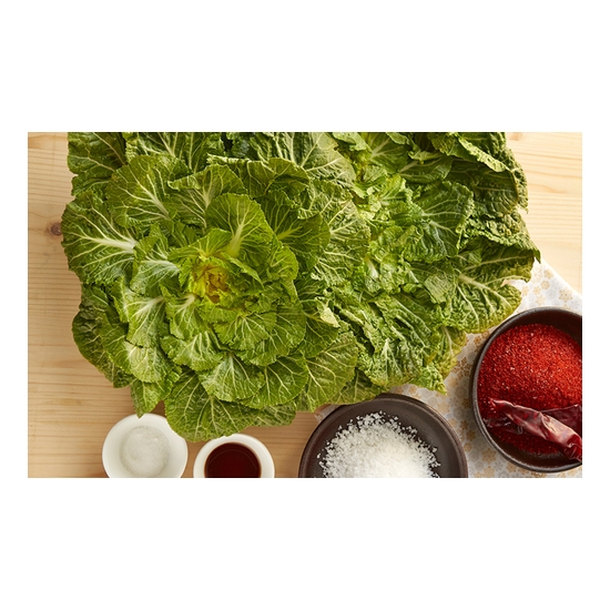 �ż��÷������� ����(��)